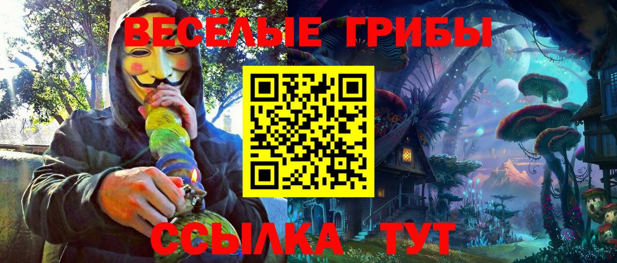 Елизово  Галлюциногенные грибы MAGIC MUSHROOMS  Галлюциногенные грибы Psilocybe  Вход с VPN 
